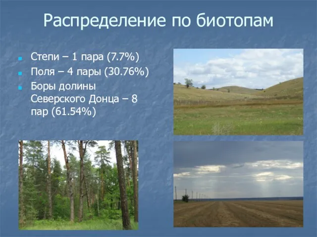Распределение по биотопам Степи – 1 пара (7.7%) Поля – 4 пары