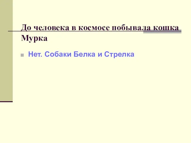 До человека в космосе побывала кошка Мурка Нет. Собаки Белка и Стрелка