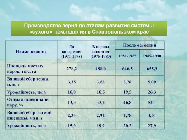 Производство зерна по этапам развития системы «сухого» земледелия в Ставропольском крае