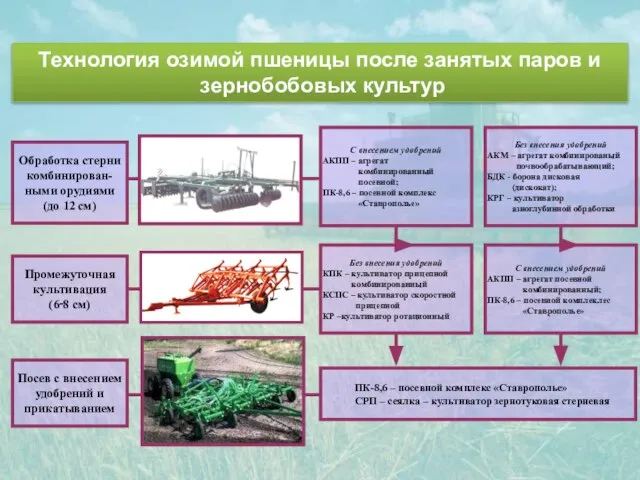 Технология озимой пшеницы после занятых паров и зернобобовых культур