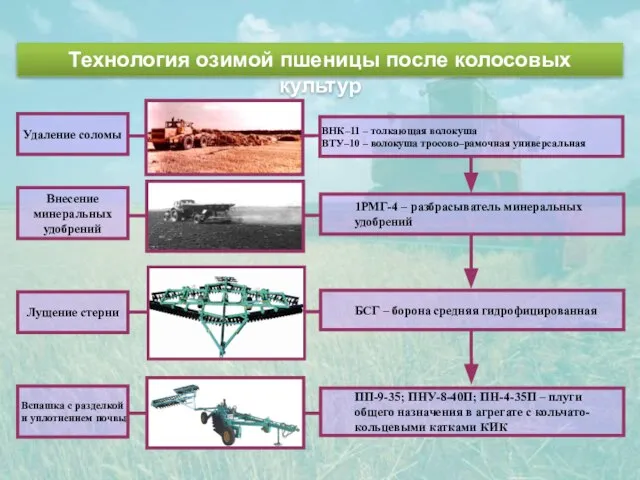 Технология озимой пшеницы после колосовых культур