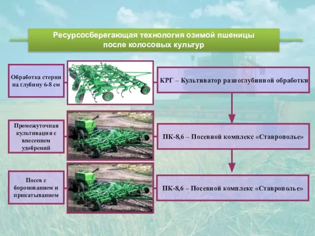 Ресурсосберегающая технология озимой пшеницы после колосовых культур