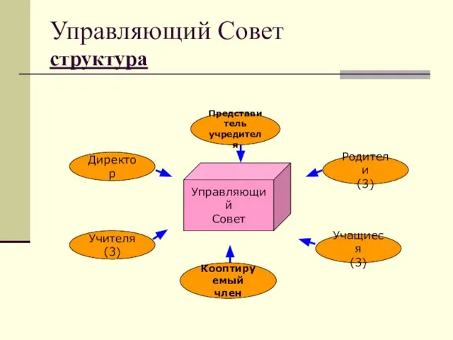 Управляющий Совет структура