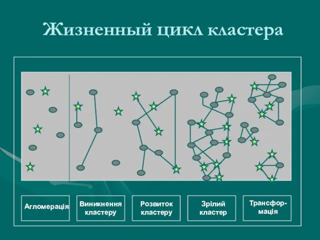 Жизненный цикл кластера Агломерація Виникнення кластеру Розвиток кластеру Зрілий кластер Трансфор-мація