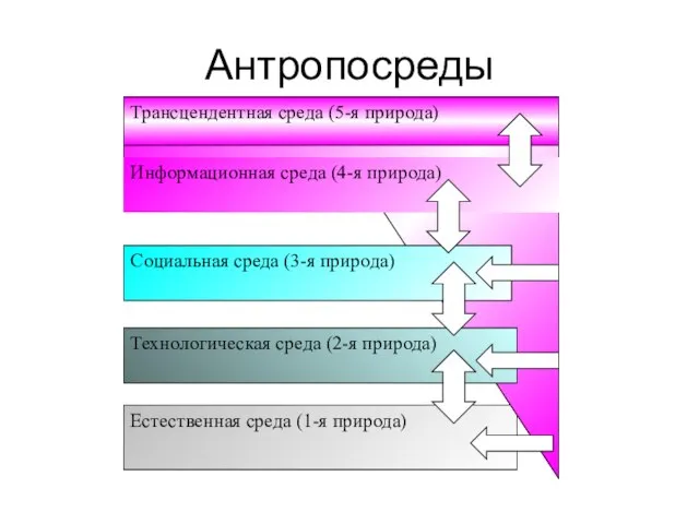 Антропосреды Естественная среда (1-я природа) Технологическая среда (2-я природа) Социальная среда (3-я