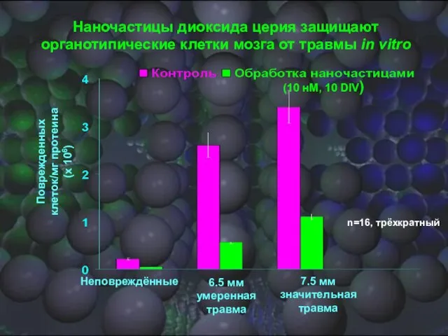 Поврежденных клеток/мг протеина (x 106) Неповреждённые 6.5 мм умеренная травма 7.5 мм