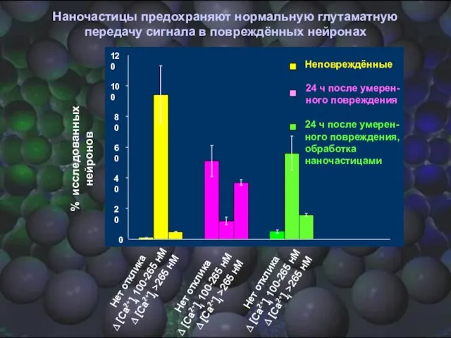 % исследованных нейронов 0 20 40 60 80 100 120 Неповреждённые 24