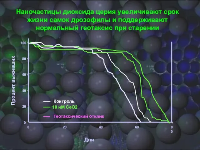 Геотаксический отклик