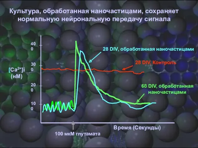 400 200 300 100 Время (Секунды) 100 мкM глутамата 68 DIV, обработанная