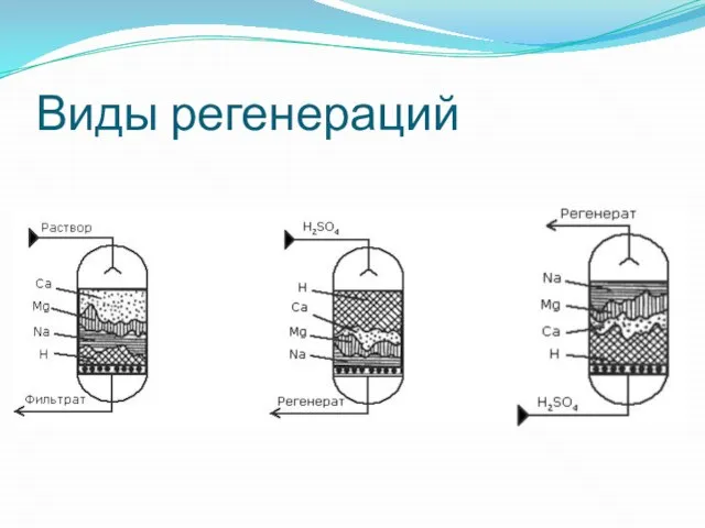 Виды регенераций