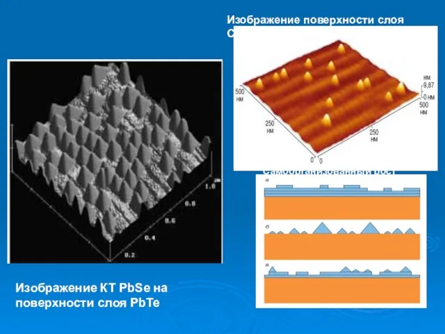 Изображение КТ PbSe на поверхности слоя PbTe Изображение поверхности слоя СКТ InAs/ GaAs Самоорганизованный рост