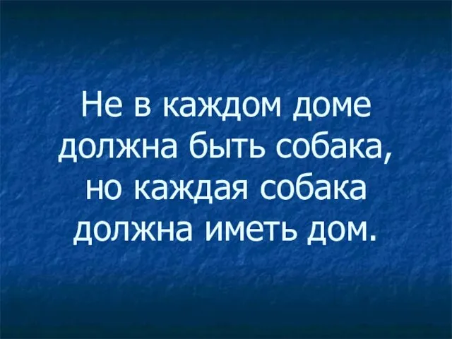 Не в каждом доме должна быть собака, но каждая собака должна иметь дом.