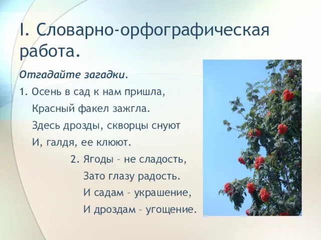 I. Словарно-орфографическая работа. Отгадайте загадки. 1. Осень в сад к нам пришла,