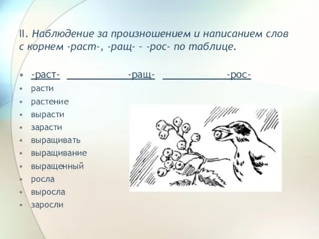 II. Наблюдение за произношением и написанием слов с корнем -раст-, -ращ- –