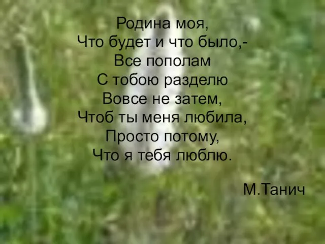 Родина моя, Что будет и что было,- Все пополам С тобою разделю