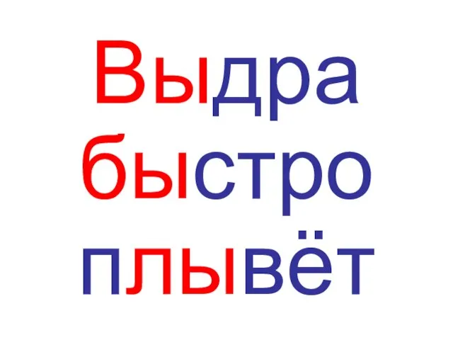 Выдра быстро плывёт