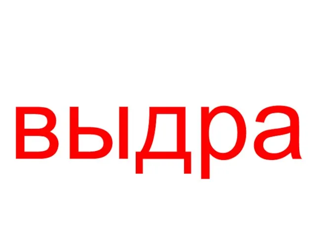 выдра