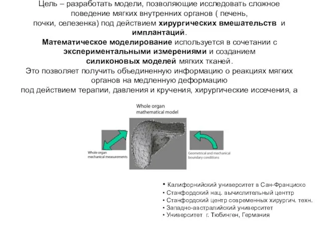 Цель – разработать модели, позволяющие исследовать сложное поведение мягких внутренних органов (