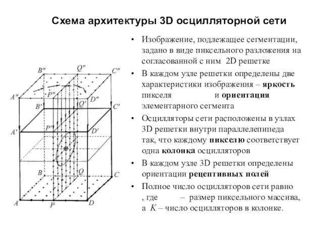 Схема архитектуры 3D осцилляторной сети Изображение, подлежащее сегментации, задано в виде пиксельного