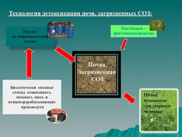 Биологически опасные отходы кожевенного, мехового, мясо- и птицеперерабатывающих производств Реагент на аминокислотной