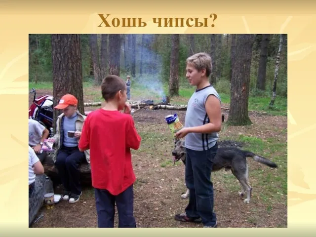 Хошь чипсы?