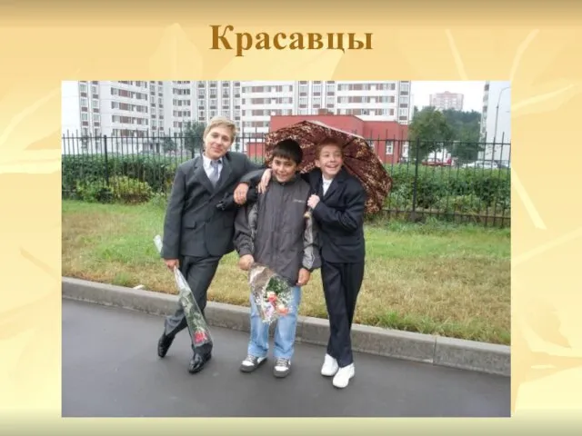 Красавцы