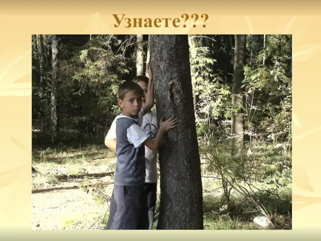 Узнаете???