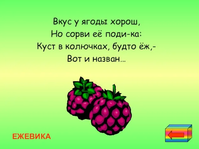 Вкус у ягоды хорош, Но сорви её поди-ка: Куст в колючках, будто