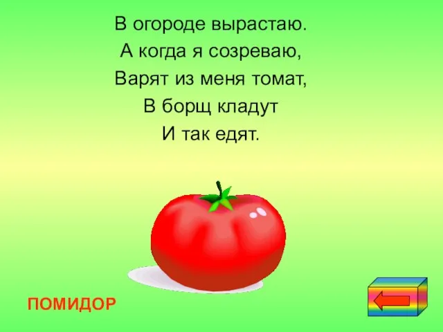 В огороде вырастаю. А когда я созреваю, Варят из меня томат, В