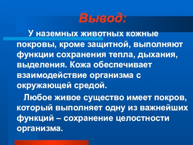 Вывод: У наземных животных кожные покровы, кроме защитной, выполняют функции сохранения тепла,