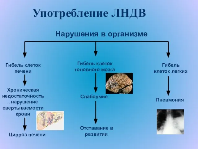 Употребление ЛНДВ Гибель клеток печени Хроническая недостаточность, нарушение свертываемости крови Цирроз печени