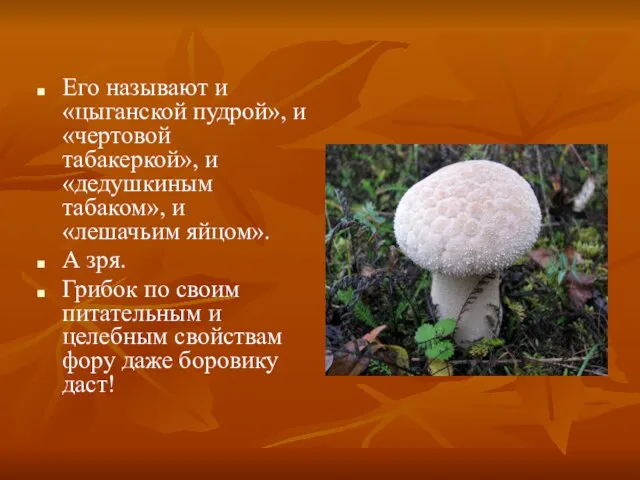 Его называют и «цыганской пудрой», и «чертовой табакеркой», и «дедушкиным табаком», и