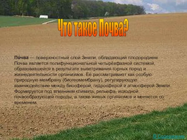 Что такое Почва? По́чва — поверхностный слой Земли, обладающий плодородием. Почва является