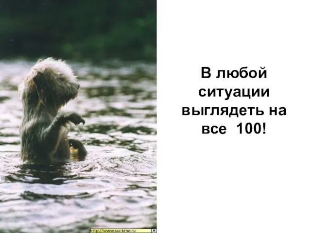 В любой ситуации выглядеть на все 100!