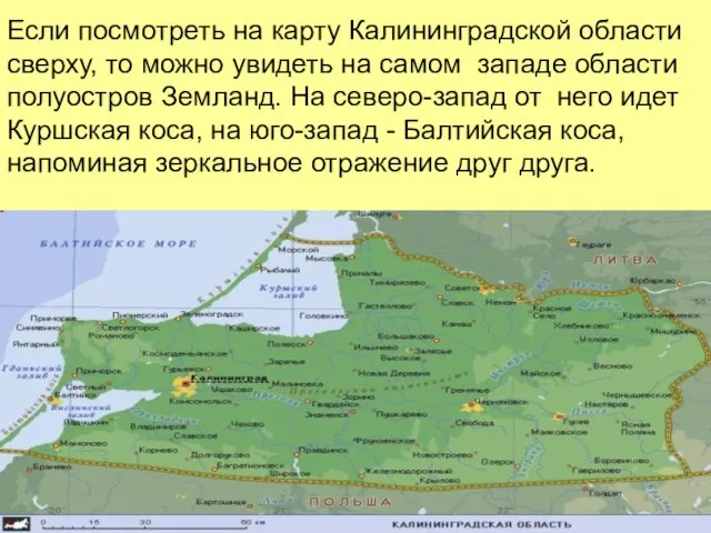 Если посмотреть на карту Калининградской области сверху, то можно увидеть на самом