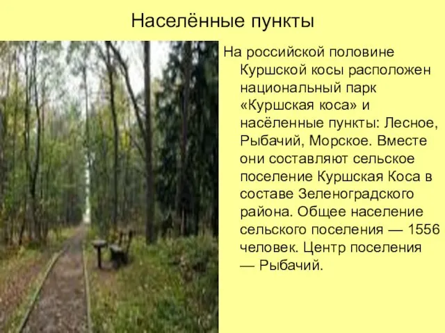 Населённые пункты На российской половине Куршской косы расположен национальный парк «Куршская коса»