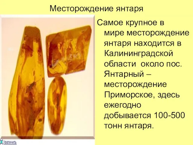 Месторождение янтаря Самое крупное в мире месторождениеянтаря находится в Калининградской области около