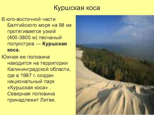 Куршская коса В юго-восточной части Балтийского моря на 98 км протягивается узкий