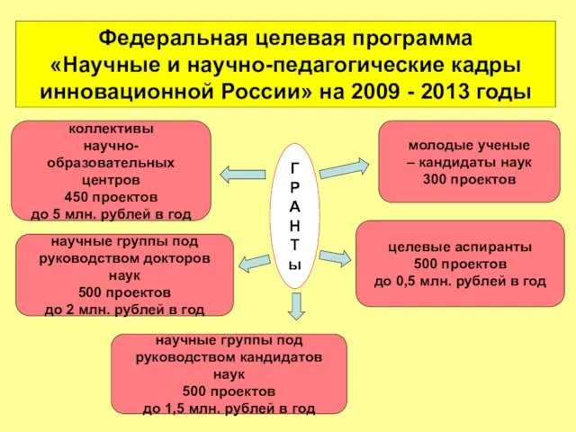 Федеральная целевая программа «Научные и научно-педагогические кадры инновационной России» на 2009 -