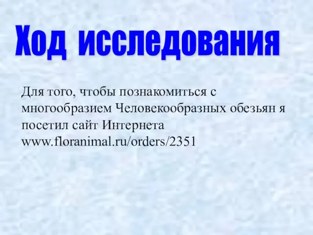 Ход исследования Для того, чтобы познакомиться с многообразием Человекообразных обезьян я посетил сайт Интернета www.floranimal.ru/orders/2351