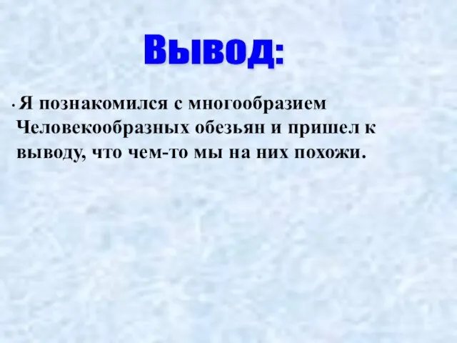 Вывод: Я познакомился с многообразием Человекообразных обезьян и пришел к выводу, что