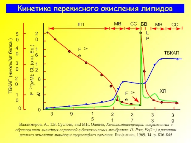 Кинетика перекисного окисления липидов Владимиров, А., Т.Б. Суслова, and В.И. Оленев, Хемилюминесценция,