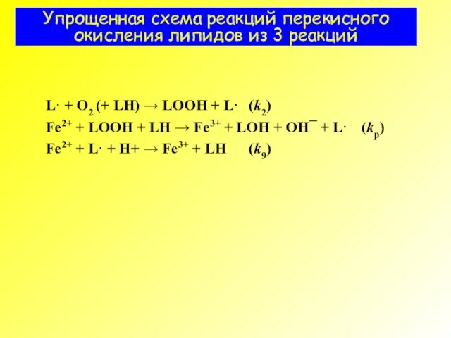 Упрощенная схема реакций перекисного окисления липидов из 3 реакций L· + O2