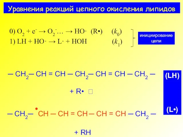 Уравнения реакций цепного окисления липидов