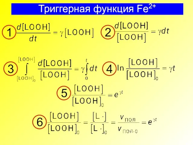 Триггерная функция Fe2+ 1 2 3 4 5 6