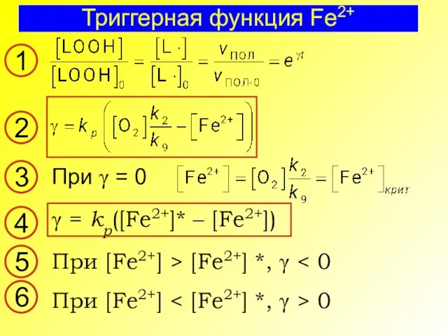 Триггерная функция Fe2+ При γ = 0 При [Fe2+] > [Fe2+] *,