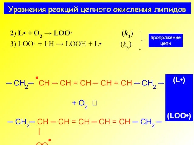 Уравнения реакций цепного окисления липидов