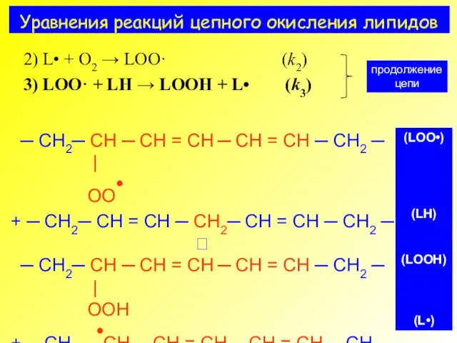 Уравнения реакций цепного окисления липидов