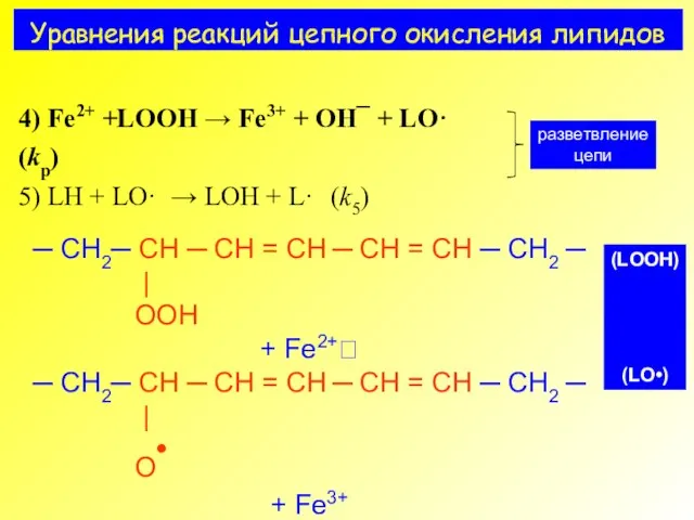 Уравнения реакций цепного окисления липидов