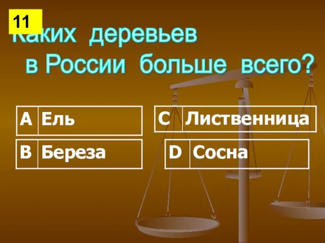 Каких деревьев в России больше всего? 11